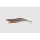 LEMAR NATURAL PR ( PEIXE REI ) 3.0 ( FAST SINK ) (NTPR)